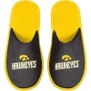 Men's FOCO Iowa Hawkeyes Scuff Slide Slippers -Dockers shop 5372856