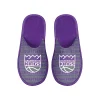 Unbranded Men's FOCO Sacramento Kings Scuff Logo Slide Slippers